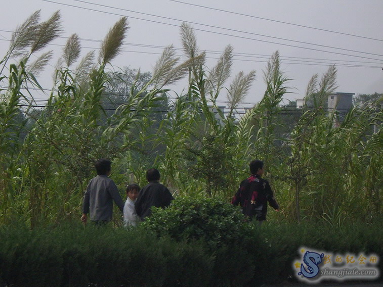 按此在新窗口打开图片