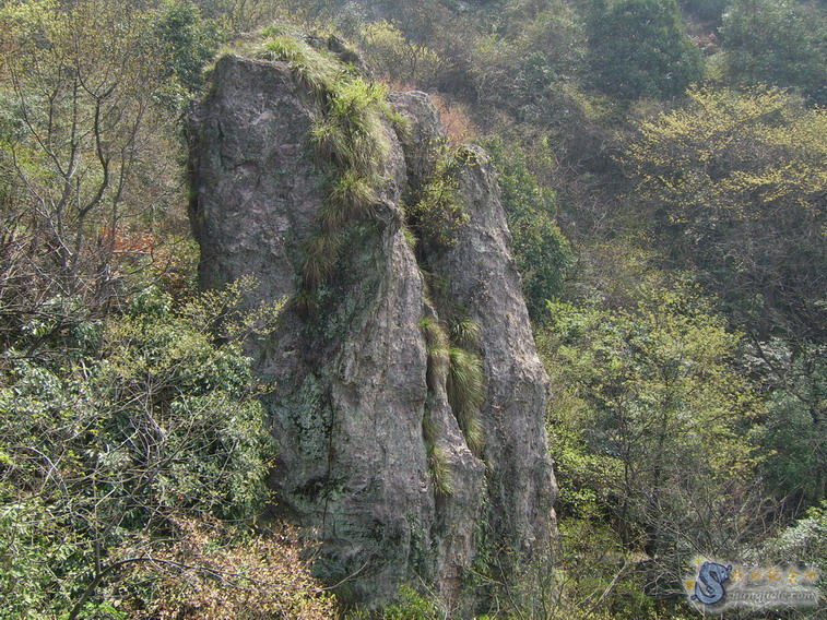 按此在新窗口打开图片
