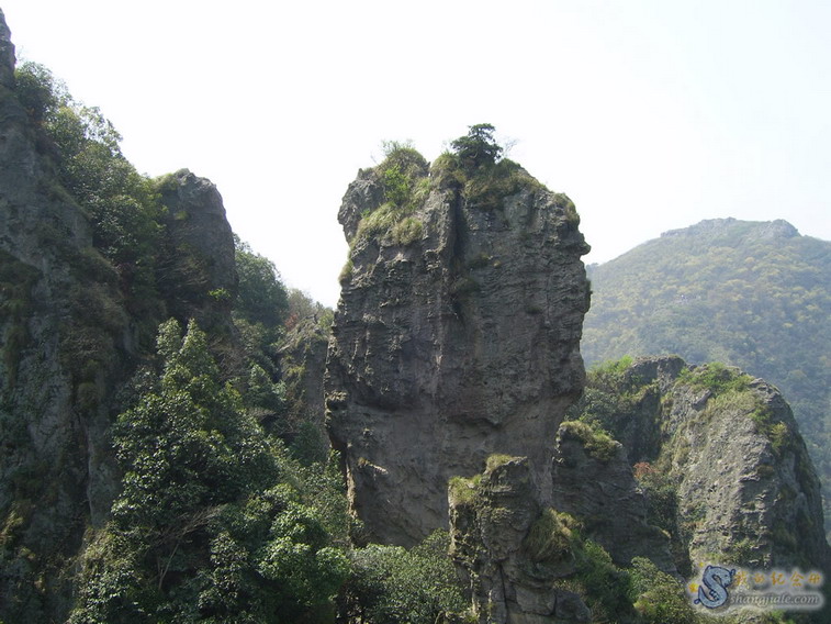 按此在新窗口打开图片
