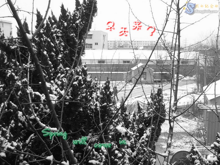 按此在新窗口打开图片