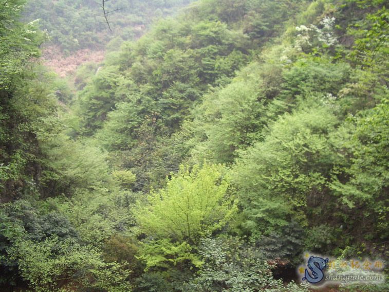 按此在新窗口打开图片