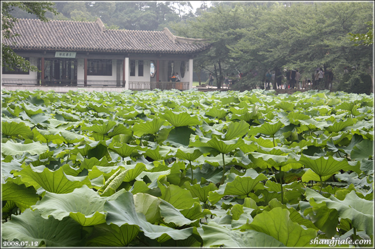 按此在新窗口打开图片