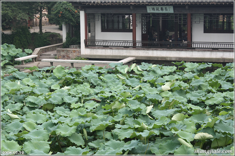 按此在新窗口打开图片