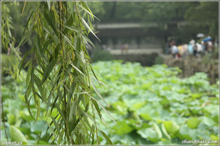 按此在新窗口打开图片