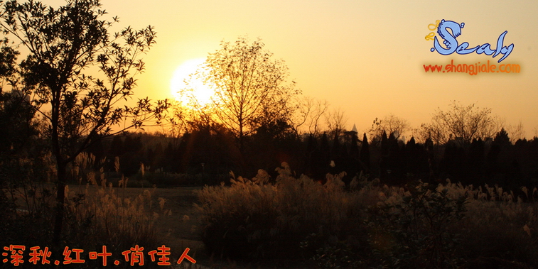 按此在新窗口打开图片