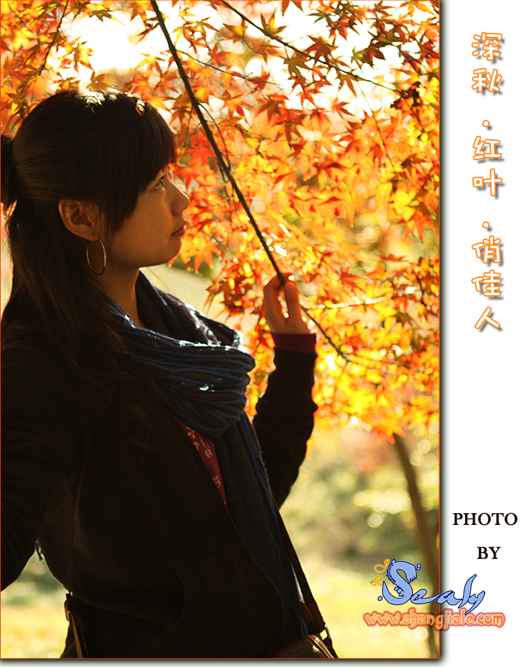 按此在新窗口打开图片