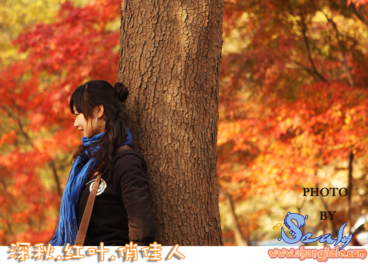 按此在新窗口打开图片