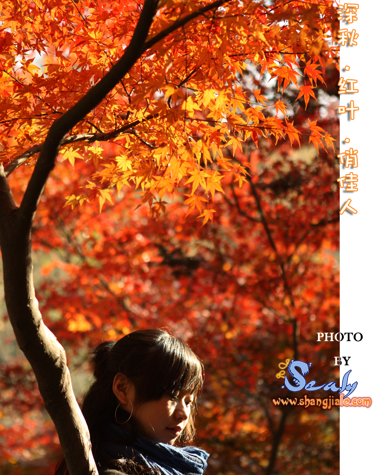 按此在新窗口打开图片