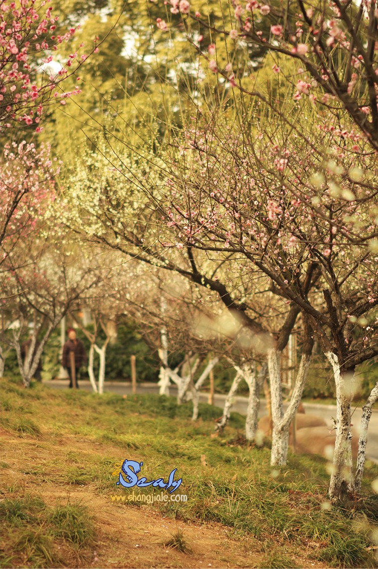 按此在新窗口打开图片