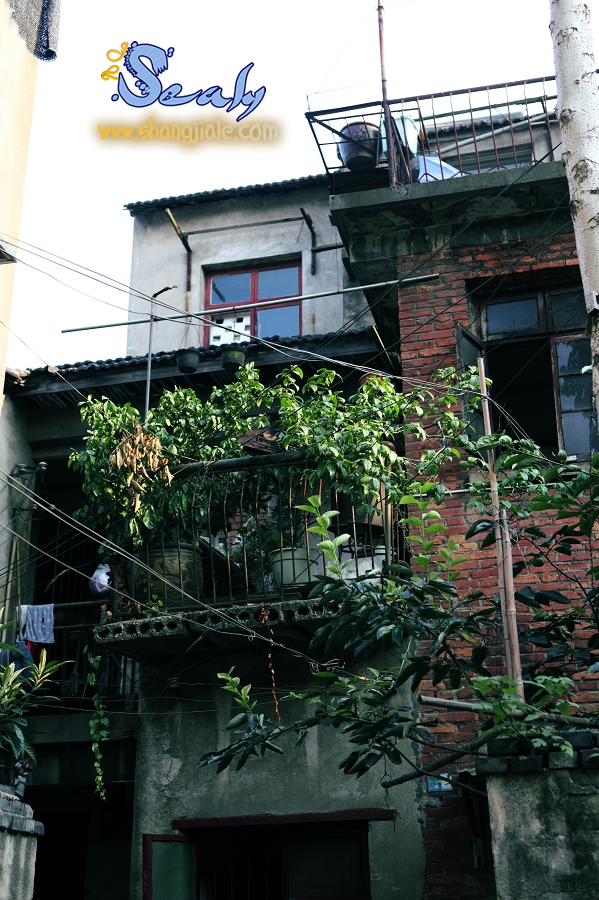 按此在新窗口打开图片