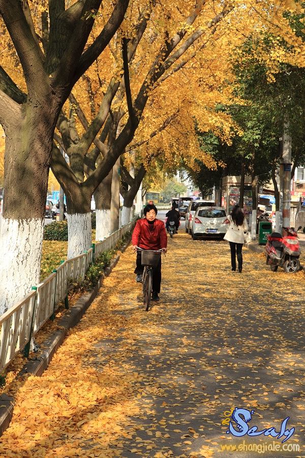 按此在新窗口打开图片