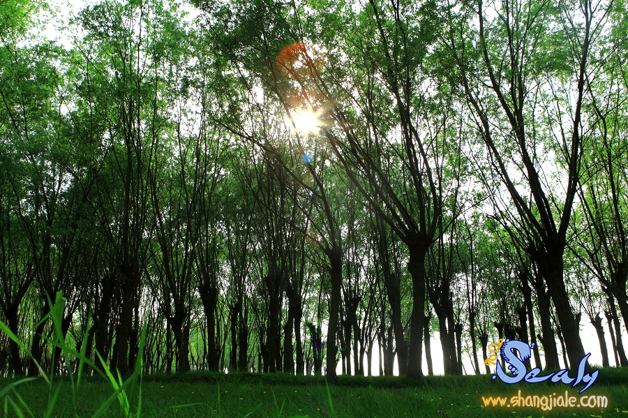 按此在新窗口打开图片