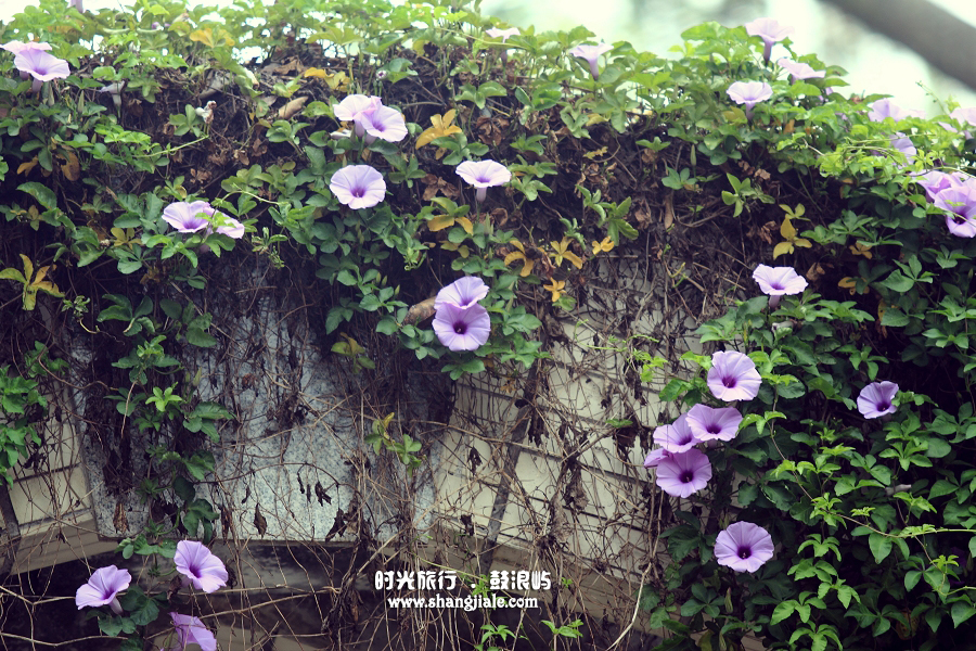 按此在新窗口打开图片