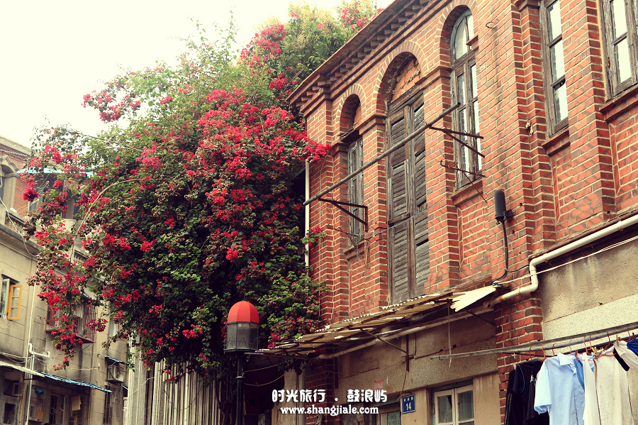 按此在新窗口打开图片
