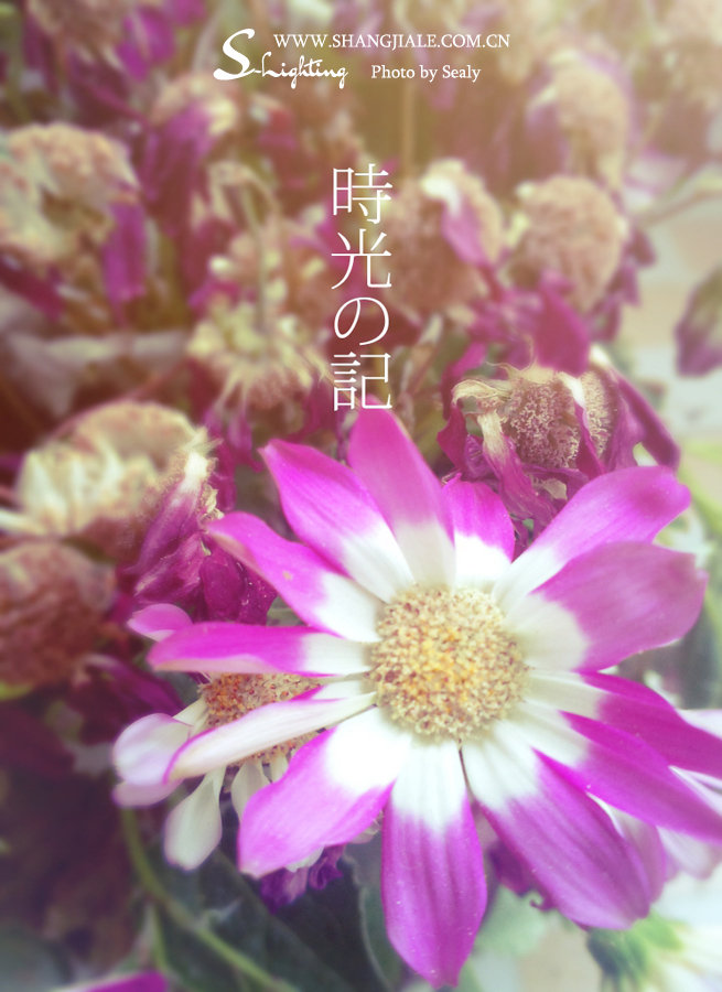 按此在新窗口打开图片