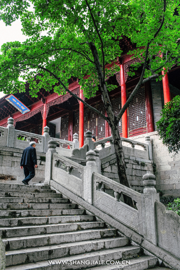 按此在新窗口打开图片