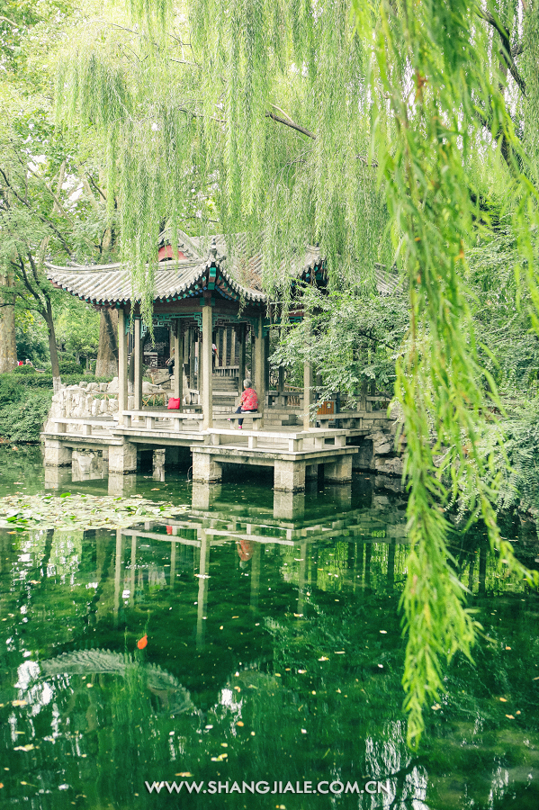 按此在新窗口打开图片