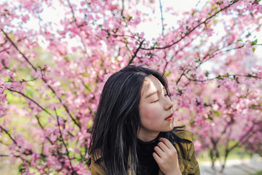 按此在新窗口打开图片