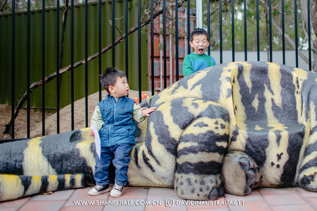 按此在新窗口打开图片