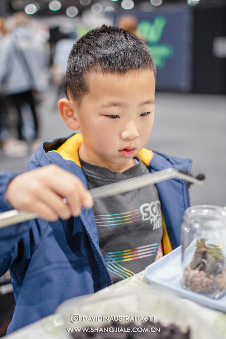 按此在新窗口打开图片