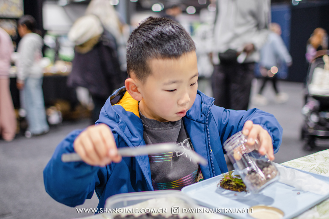 按此在新窗口打开图片